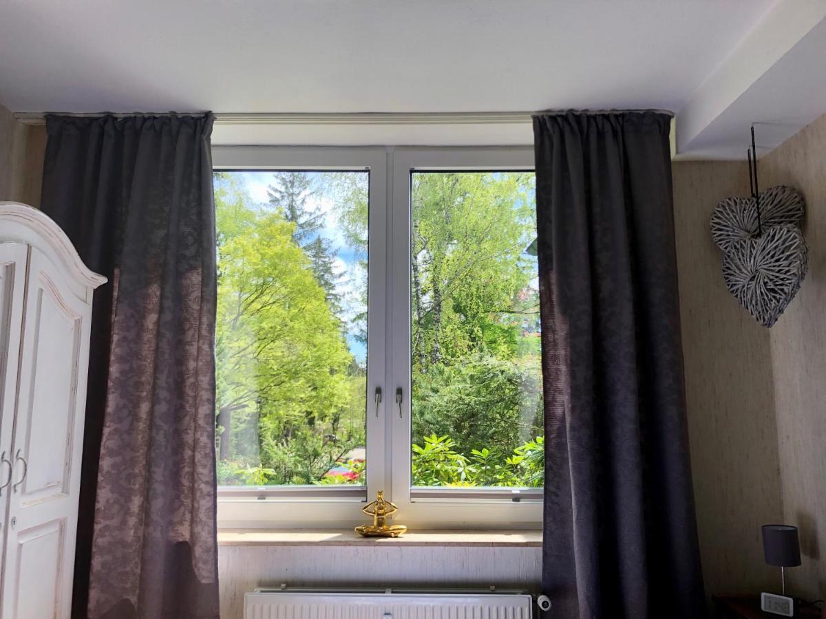 Fewo Harzromantik Braunlage Buitenkant foto