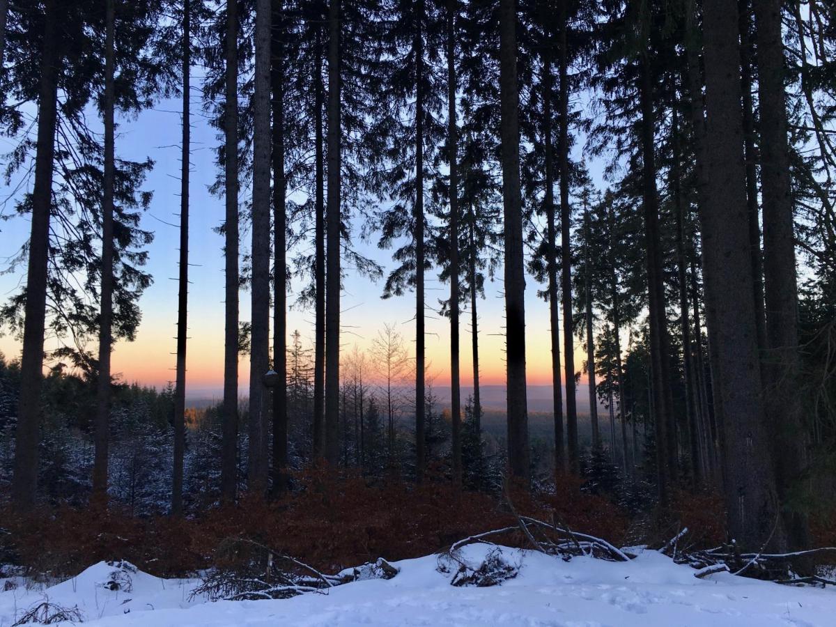 Fewo Harzromantik Braunlage Buitenkant foto