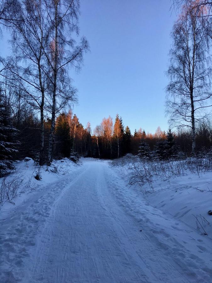 Fewo Harzromantik Braunlage Buitenkant foto