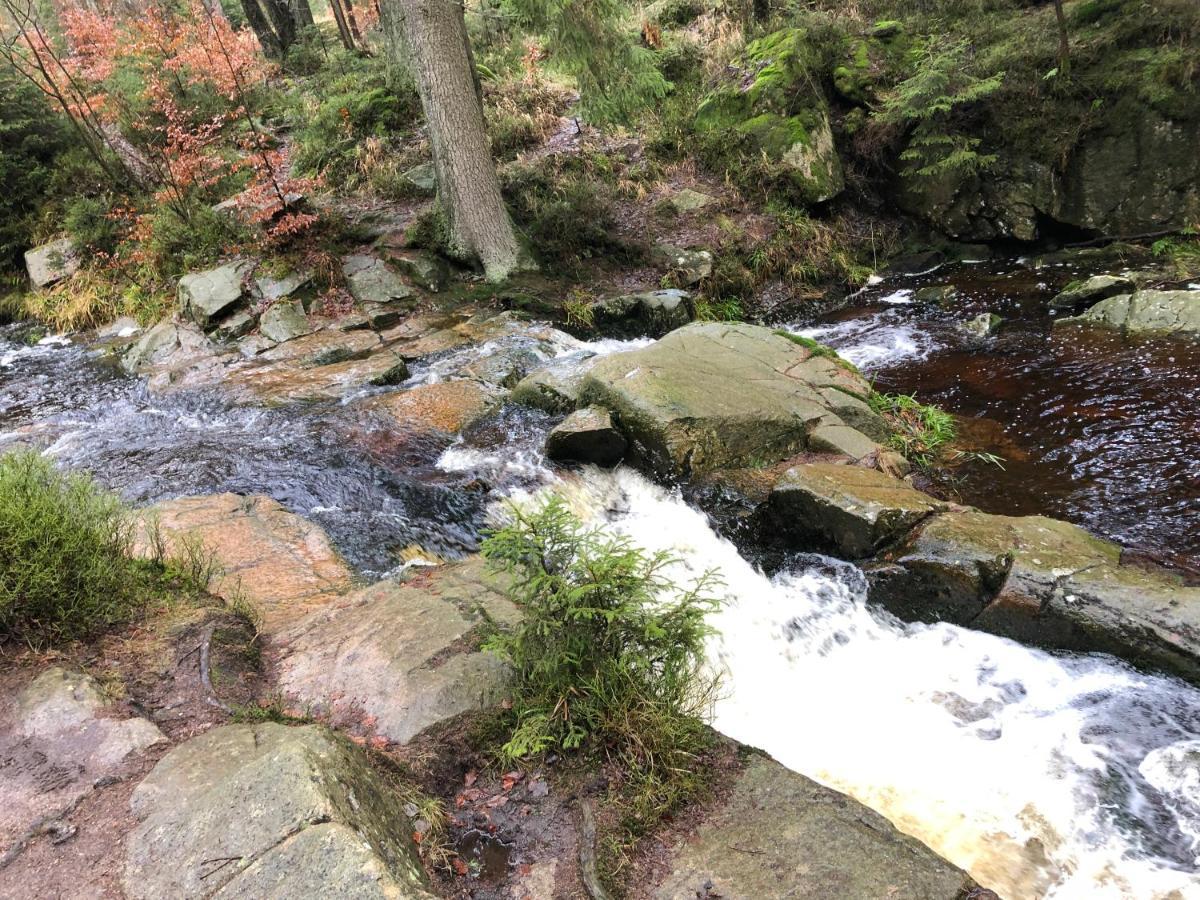 Fewo Harzromantik Braunlage Buitenkant foto