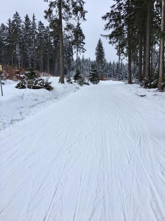 Fewo Harzromantik Braunlage Buitenkant foto